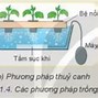 Lý Thuyết Công Nghệ 10 Kết Nối Tri Thức