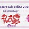 Sinh Con Gái Năm Rồng 2024